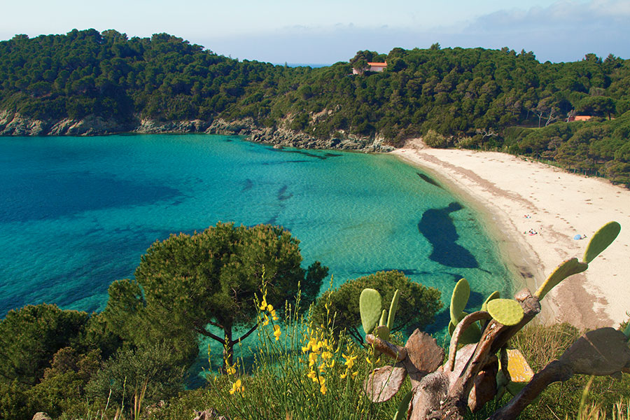 Spiaggia